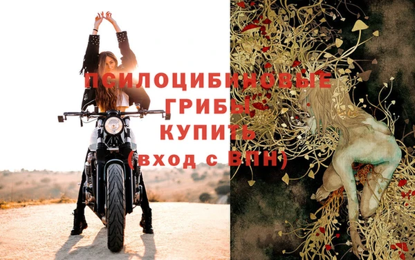 прущая мука Алзамай