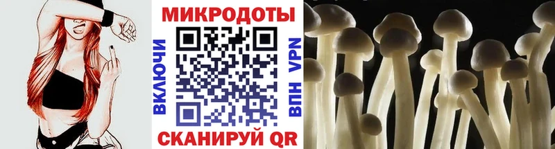 Псилоцибиновые грибы MAGIC MUSHROOMS  Нововоронеж 