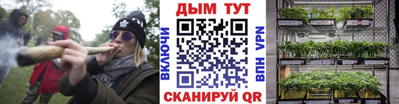 Канабис MAZAR  Нововоронеж 
